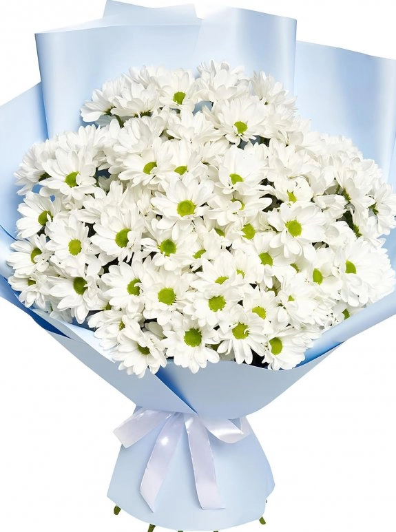 Papatya Buketi